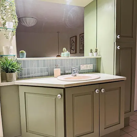 L'esma - Proche Aeroport & Zenith - Wifi - Parking