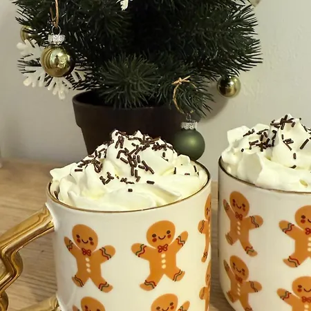 L'esma - Proche Aeroport & Zenith - Wifi - Parking Accommodatie bij particulieren *