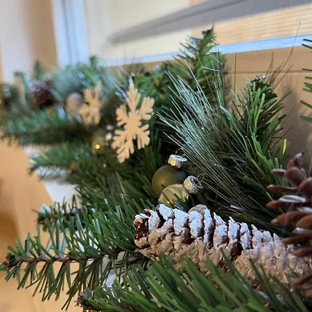 L'esma - Proche Aeroport & Zenith - Wifi - Parking