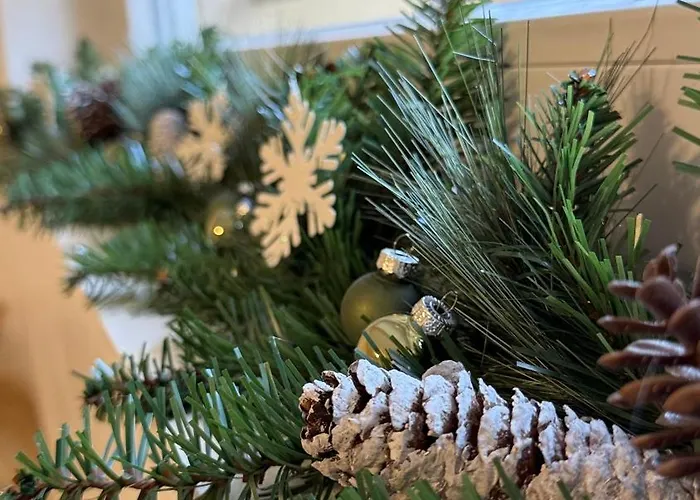 L'esma - Proche Aeroport & Zenith - Wifi - Parking